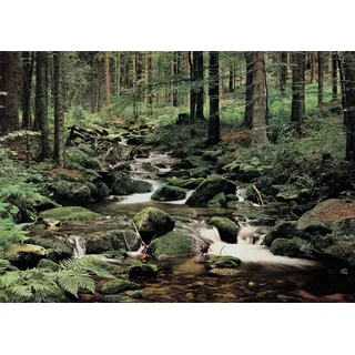 Papermoon Vlies- Fototapete Digitaldruck 350 x 260 cm, Nature
