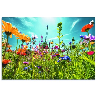 ARTland Wandbild Alu Verbundplatte für Innen & Outdoor Bild 60x40 cm Blumenbilder Blumenwiese Blüten Frühling Blumen Bunt U2KS