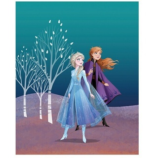 Komar Disney Edition 4 Poster Frozen Sisters  (Disney, B x H: 50 x 70 cm)
