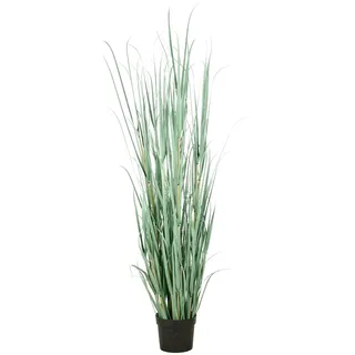 CREATIV green künstliche Pflanze Pampasgras Cortaderia in grüngrau, ca. 175cm, UV-beständig