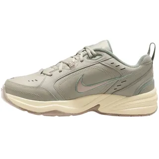 Nike Air Monarch IV Light Bone/Sanddrift/Spruce Aura 45