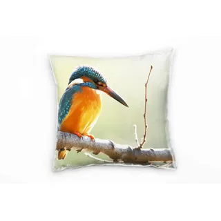 Paul Sinus Art Tiere, Vogel, Eisvogel, orange, türkis Deko Kissen 40x40cm für Couch Sofa Lounge Zierkissen - Dekoration zum Wohlfühlen