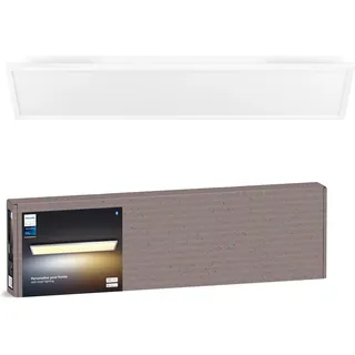 Philips Aurelle Panel 2-flg. weiß