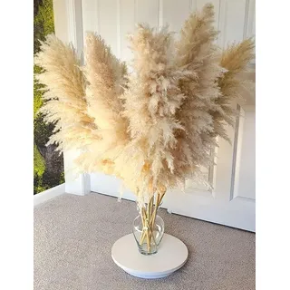 Pampasgras Groß, 11 Stück 110CM Pampasgras Deko Natürliche und Flauschige Pampas Grass XXL Getrocknet Bouquet für Tisch Schlafzimmer Hochzeit Wohnzimmer DIY Trockene Trockenblumen