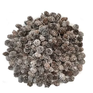 Kesxaus Tannenzapfen Weihnachten Tannenzapfen Kunstschnee Tannenzapfen Deko 100 Stück ca. 1-2 cm Mini Tannenzapfen Weihnachtsschmuck für Weihnachtsdeko innen Weihnachtsbaum Deko Winterhochzeit Partei