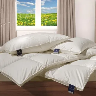 billerbeck Nena Kassette VI 155 x 220 cm
