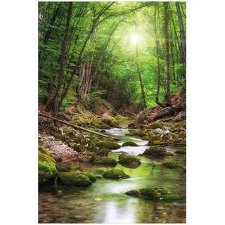 Wallario Poster - Fluss im Wald in Premiumqualität, Größe: 61 x 91,5 cm (Maxiposter)