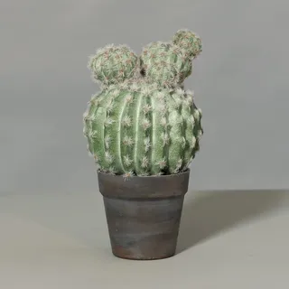Künstlicher Kugelkaktus Natura 34x18cm im Topf DP - mit Steinabdeckung – Detailreicher Kunstkaktus mit 5 Kugeln – Pflegeleichte Wüstenpflanze wie echt – Dekopflanze für Büro, Bad & Wohnzimmer