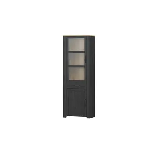 Forte Vitrine Toneo 71 x 42 x 205 cm Mehrfarbig