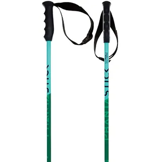 Völkl Skistock Phantastick Grün 90