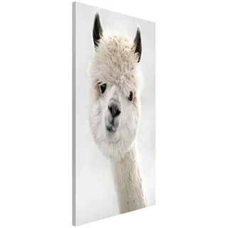 Bilderdepot24 Magnettafel Küche weiss Alpaka Portrait, (1-tlg., Magnetboard Pinnwand für die Wand - metallische Tafel für Magnete), Magnetwand groß mit Motiv Büro Memoboard magnetisch Hochformat weiß 30 cm x 40 cm