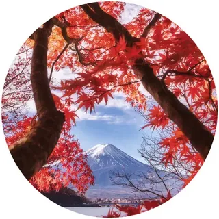 K&L Wall Art Vliestapete »Runde Vliestapete«, Berg Vulkan Fuji Herbst Küchen, mehrfarbig, matt - bunt