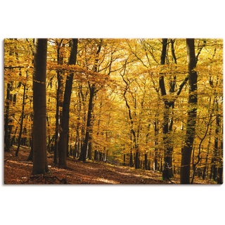 Wandbild ARTLAND "Spaziergang im Herbstwald" Bilder Gr. B/H: 120 cm x 80 cm, Leinwandbild Wald, 1 St., goldfarben Kunstdrucke