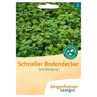 Bingenheimer Saatgut Schneller Bodendecker bio