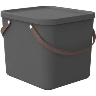 Rotho Aufbewahrungsbox Albula 40 x 36 x 34 cm 1-tlg. anthrazit