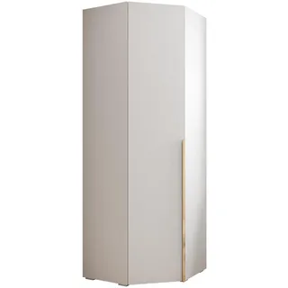 DREHTÜRENSCHRANK 236.7/81.7/81.7 1-türig
