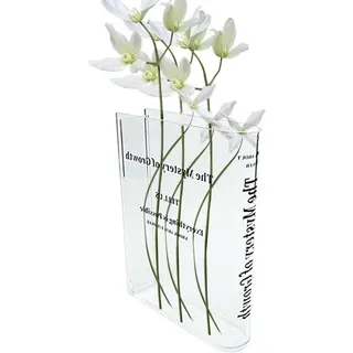 Famanu Buchvase - Dekorative Vase - Einzigartiges Buchdesign - 20 x 16 cm - Transparent