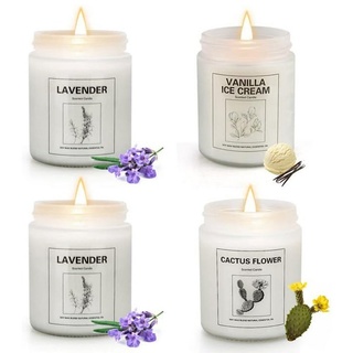 YINUO LIGHT Duftkerze, 4 Stücke Lavendel Kaktus Eis & Vanille Kerzen schwarz