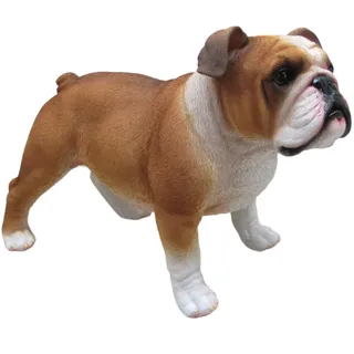 FD Dekofigur Bulldogge stehend 37 cm Braun/Weiß