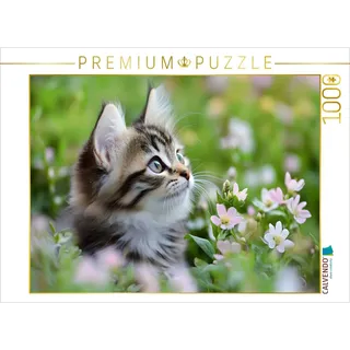 Calvendo Puzzle Verträumte Katze in der Wiese 1000 Teile Lege-Größe 64x48cm Foto-Puzzle für glückliche Stunden