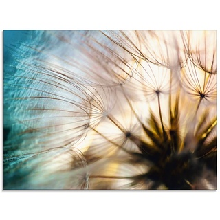 Glasbild ARTLAND "Pusteblume Makro abstrakt" Bilder Gr. B/H: 80 cm x 60 cm, Glasbild Blumen Querformat, 1 St., beige (naturfarben) Glasbilder