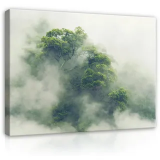 Wallarena Leinwandbild Wald Tropisch Brume Dschungel Wandbild XXL Leinwandbilder Modern, Tropischer Wald in Japan (Einteilig), Aufhängefertig 120 cm x 80 cm