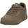 Olive 42