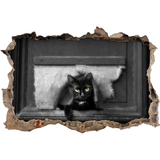 Pixxprint 3D_WD_S4548_62x42 schöne Katze mit scharfem Blick Wanddurchbruch 3D Wandtattoo, Vinyl, schwarz / weiß, 62 x 42 x 0,02 cm