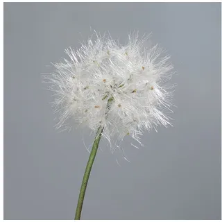 Kunstblume künstliche Pusteblume Löwenzahn 80cm oder 88cm, mucPlants, Höhe 80 cm, Stecker 80 cm
