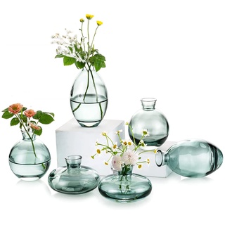 EylKoi Kleine Vasen füR Tischdeko Glas 2 Sätze(6 Stück) Grün Mini Vase Vintage Handmade Hydroponic Glasvase Blumenvase Modern Set Fuer Hochzeit Tischdeko, Zuhause Wohnzimmer Blumen Rose