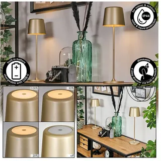 hofstein Tischleuchte dimmbare Tischlampe aus Metall/Kunststoff in Gold/Weiß, ohne Leuchtmittel, USB-C Anschluß, Akku, An-/Ausschalter, für Wohnzimmer, Schlafzimmer weiß