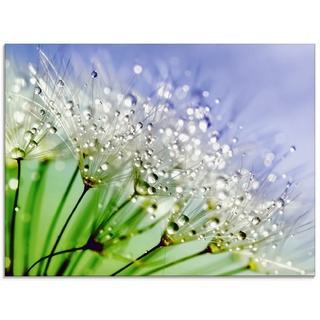 Glasbild ARTLAND "Glitzernde Pusteblume" Bilder Gr. B/H: 80 cm x 60 cm, Glasbild Blumen Querformat, 1 St., blau Glasbilder