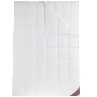 HÄUSSLING Royal 4-Jahreszeiten Daunen-Kassettenbettdecke, leicht bis extra warm(OSDE, OSNL, OSBE) (220 x 240 cm)