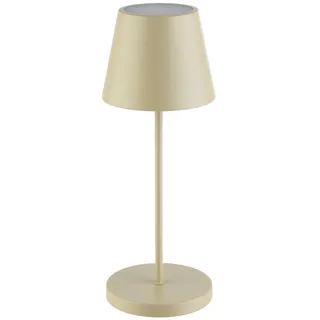 APS MERLE Beige