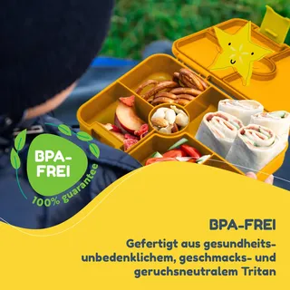 schmatzfatz by Klarstein Lite Lunchbox 6 Fächer 20,8x4,5x15 cm BPA-frei Tritan