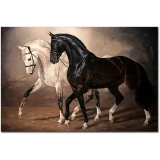 HTWLMM Leinwand Malerei Schwarz Weiß Pferd Vintage Bilder Kunstdruck für Wohnzimmer Schlafzimmer Wandbilder Deko Rahmenlos (50X70CM)