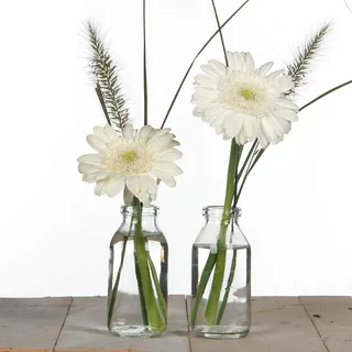 12 kleine Fläschchen aus Glas H 10,5 cm, ideal als kleine Vase für Ihre Tischdeko