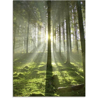 Glasbild ARTLAND "Wald im Gegenlicht" Bilder Gr. B/H: 60 cm x 80 cm, Wald, 1 St., grün Glasbilder