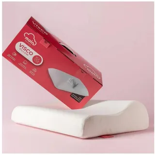 gowoll Kopfkissen 40x60 cm Orthopädisches Memory Foam Kopfkissen 15 cm Höhe, Füllung: 100% Visco, Bezug: Waschbarem Bezug, für alle Schlafpositionen, 1-tlg, Ergonomisches Nackenstützkissen Anti Schnarch Pillow