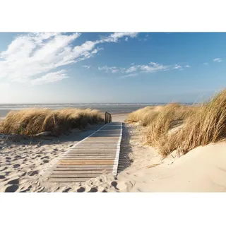 Runa Art Fototapete Strand und Meer Modern Vlies Wohnzimmer Schlafzimmer - Made in Germany - 308 x 220 cm Braun Blau 9008010b