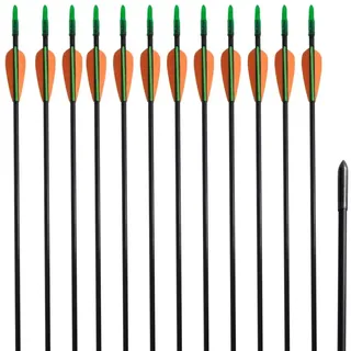 vidaXL "vidaXL Recurvebogen-Pfeile 30" cm 12 Stk."