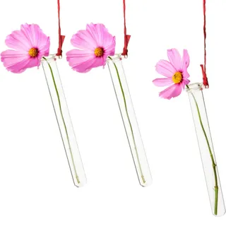 Tuuters 25 Stück Reagenzglashalter für Blumen mit Reagenzglas zum Aufhängen | 25 schmale Glasröhrchen mit Acryl Halterung, Glas Vase als Wanddeko, Fensterdeko hängend, Blumenvase für Kirchenbank