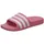 Bliss Pink / Cloud White / Bliss Pink 36 2/3