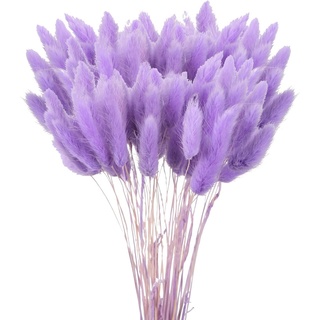 120 Pcs Getrocknetes Pampasgras,Lagurus Getrocknet,Trockenblumen Bodenvase,Natürlich Pampasgras Blumenstrauß,Trockenblumen Blumenstrauß Deko, Künstlich Groß Trockenblumen,Trockenblumen Pampasgras