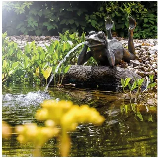 esotec Wasserspeier Frosch