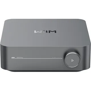 WiiM Amp Multiroom-Streaming-Verstärker mit Sprachsteuerung grau