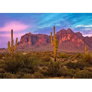 BELECO 2.1x1.5m Stoff-Hintergrund aus Arizona-Wüste für Fotografie, Western-Party-Dekor, Blauer Himmel, Sanddünen, stachelige Kakteen, Saguaro-Wildnis, Berghintergrund, Portrait-Fotoshooting