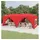 Rot 3 x 6 m