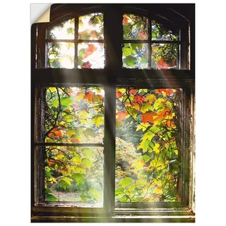 ARTland Wanddeko Wandtattoo selbstklebende Vinylfolie 60x80 cm Fensterblick Fenster Natur Herbst Garten Ausblick Altbau T5XH