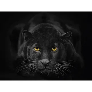 Euroart Glasbild, Schwarz, Weiß, Glas, rechteckig, 30x40 cm, Fotografie, einfache und schnelle Anbringung, glänzend, Bilder und Zubehör, Wandbilder, Glasbilder